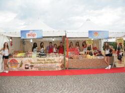 La Cittadella del Mediterraneo - Ed. 2011