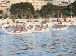 Regata - Ed. 2012