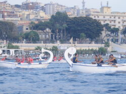 La Regata - Ed. 2009
