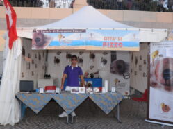 La Cittadella del Mediterraneo - Ed. 2009