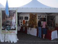 La Cittadella del Mediterraneo - Ed. 2009