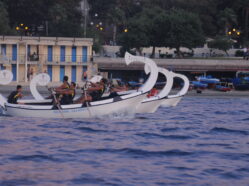La Regata - Ed. 2009