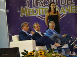 Salotto Televisivo - Ed. 2017