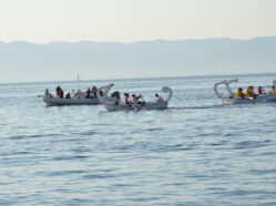 Regata del Mediterraneo - Ed. 2015