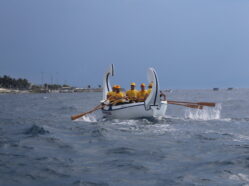 Regata del Mediterraneo - Ed. 2016