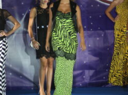 L'Olimpo degli Dei - Ed. 2016