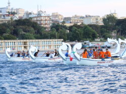 Regata - Ed. 2014