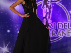 L'Olimpo degli Dei - Ed. 2014