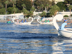 Regata del Mediterraneo - Ed. 2015