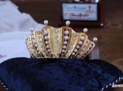 Conferenza Stampa - Ed. 2017