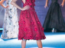 L'Olimpo degli Dei - Ed. 2015