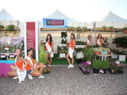 La Cittadella del Mediterraneo - Ed. 2013