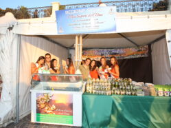 La Cittadella del Mediterraneo - Ed. 2013