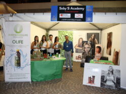 Cittadella - Ed. 2017