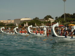 Regata - Ed. 2008