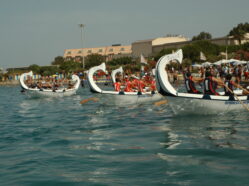 Regata - Ed. 2008