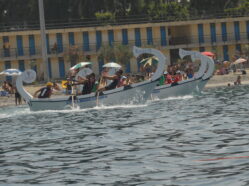 Regata - Ed. 2008