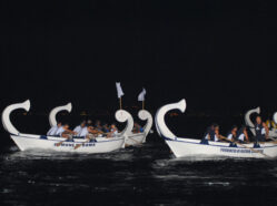 Regata - Ed. 2010