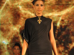 L'Olimpo degli Dei - Ed. 2011